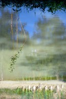 /album/reflections/dsc1561-kopie-jpg/